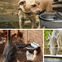 Large Automatic Water Dispenser For Daily Pet Hydration