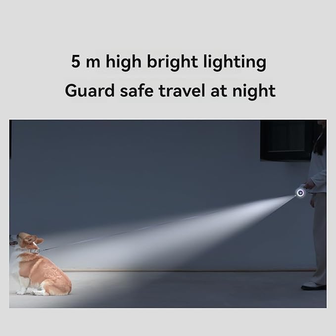 Light-up dog walking leash with retractable lead