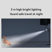 Light-up dog walking leash with retractable lead