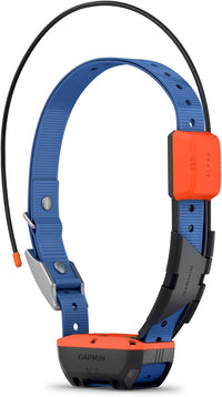 Lightweight dog collar design for regular pet walks