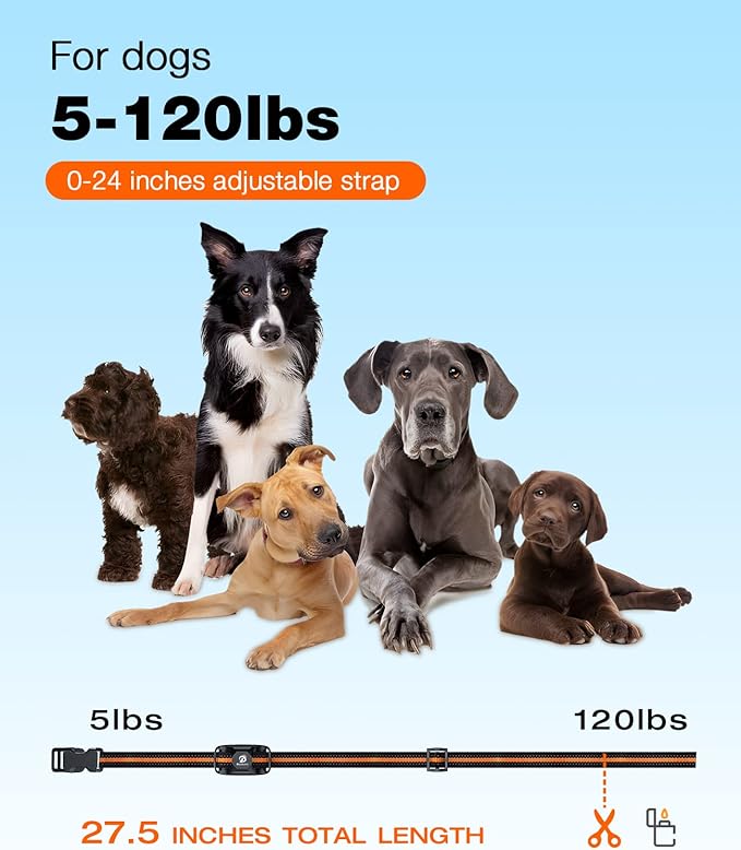 Lightweight pet collar strap for everyday pet care