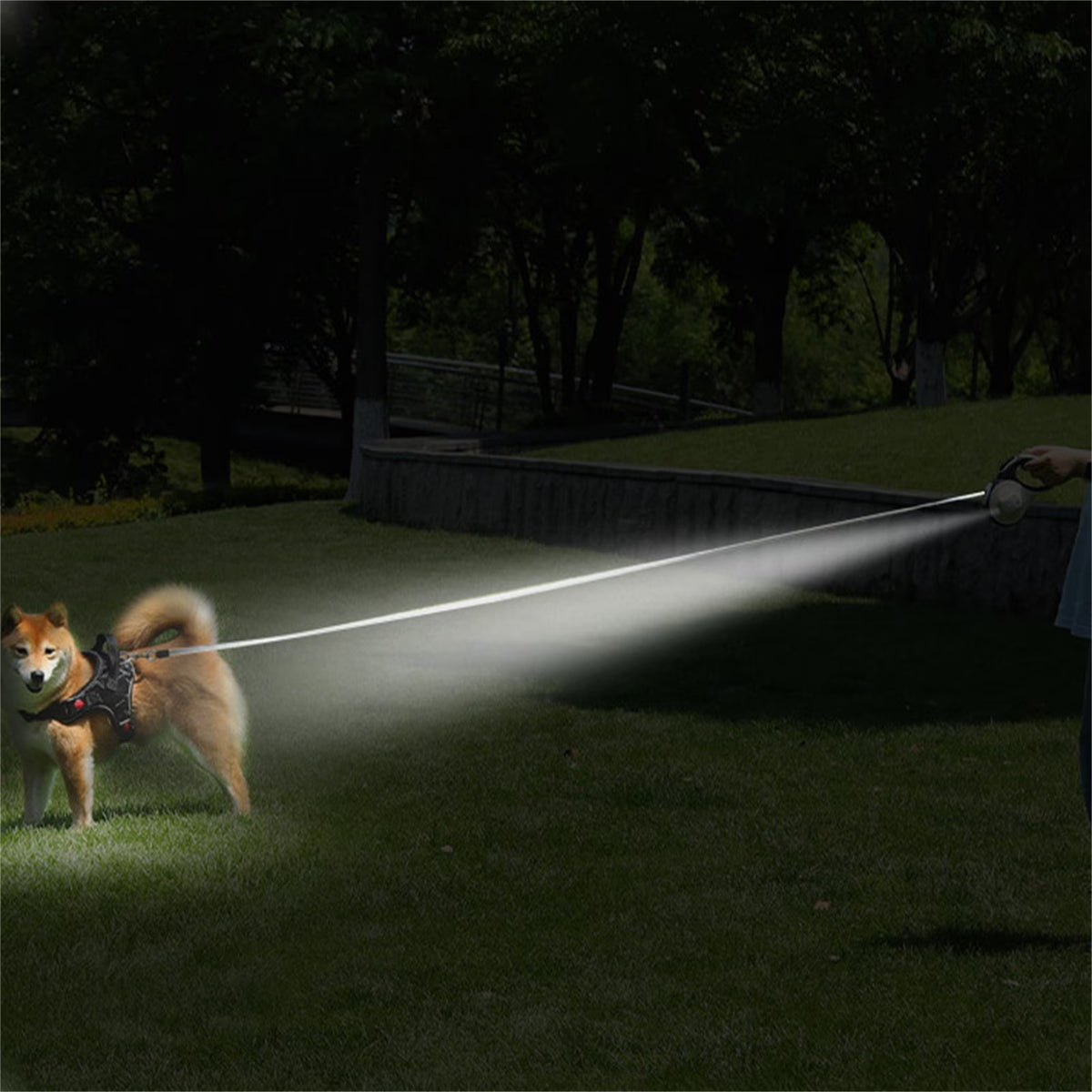 Long retractable dog leash with adjustable walking length