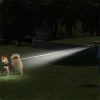 Long retractable dog leash with adjustable walking length