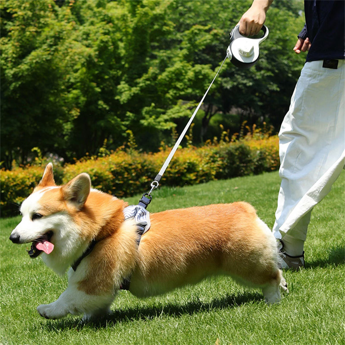 Long retractable dog walking lead with adjustable length