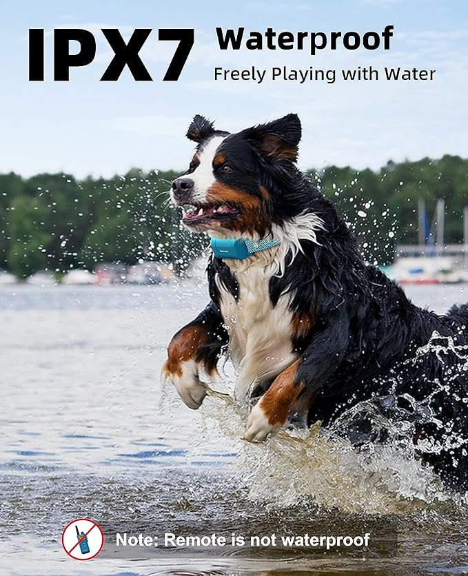 Dog accessory suitable for small medium and large pets