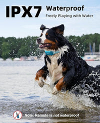 Dog accessory suitable for small medium and large pets