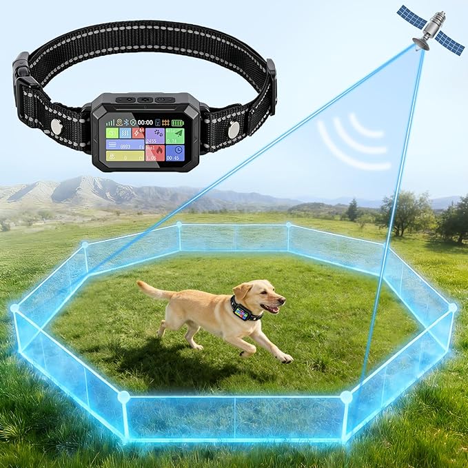 Medium and large dog collar with adjustable strap