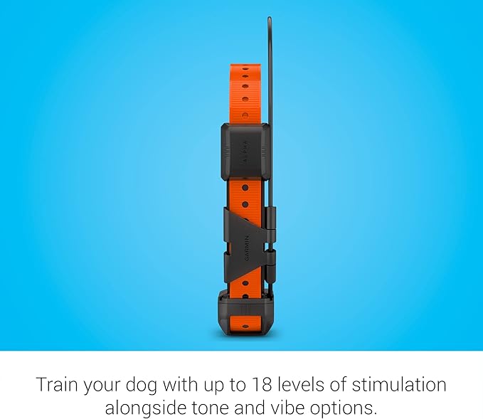 Medium and large dog collar with adjustable fit