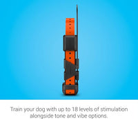 Medium and large dog collar with adjustable fit