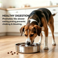 Metal Pet Food Bowl With Textured Slow Feeding Pattern