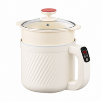 Smart Mini Electric Cooker for Rice, Noodles & Soup