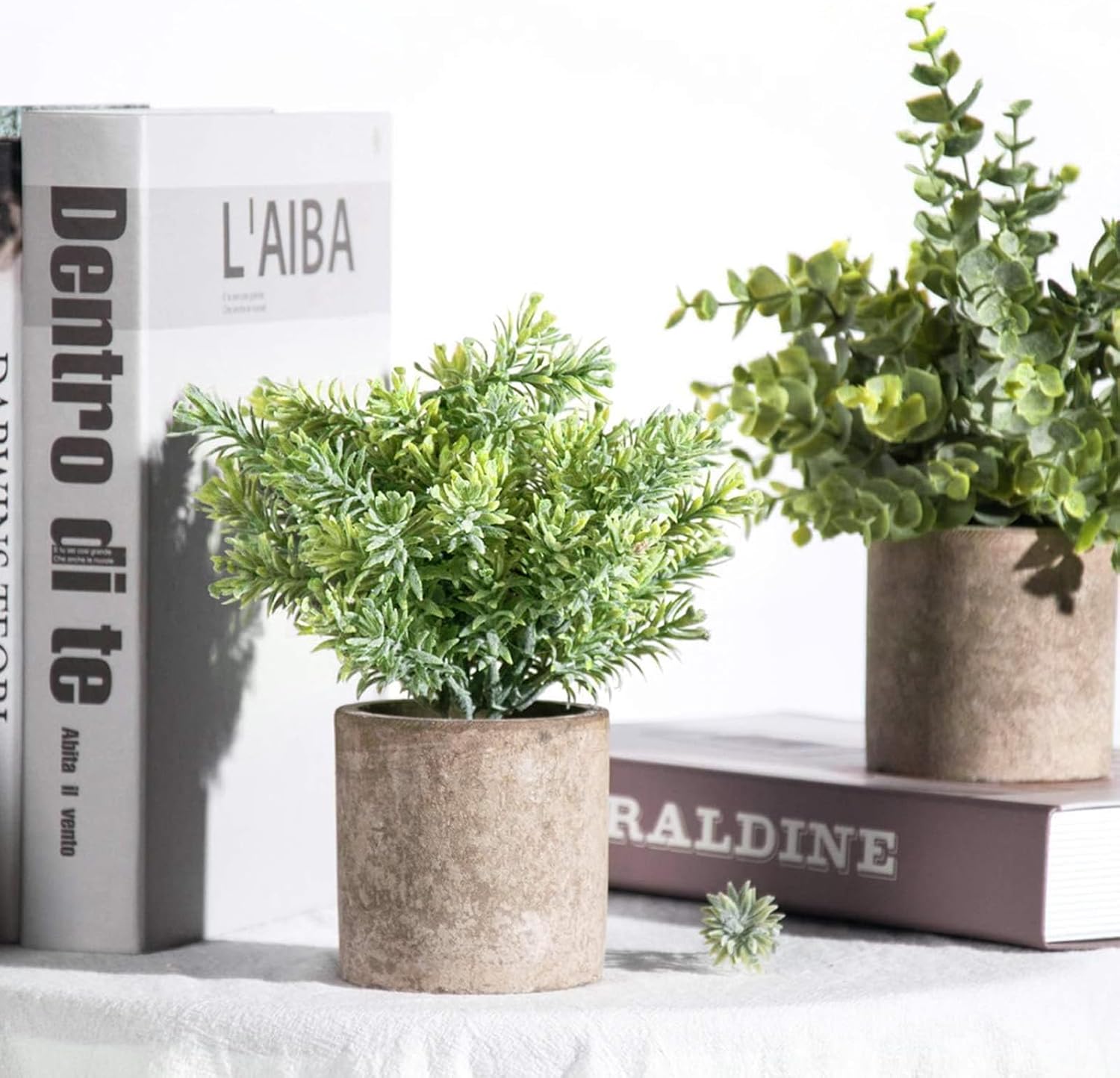 Potted Plants