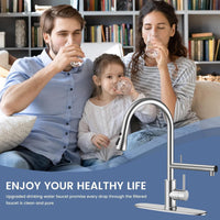 Pull Down Filter Faucet for Kitchen Farmhouse Laundry and Utility Sink
