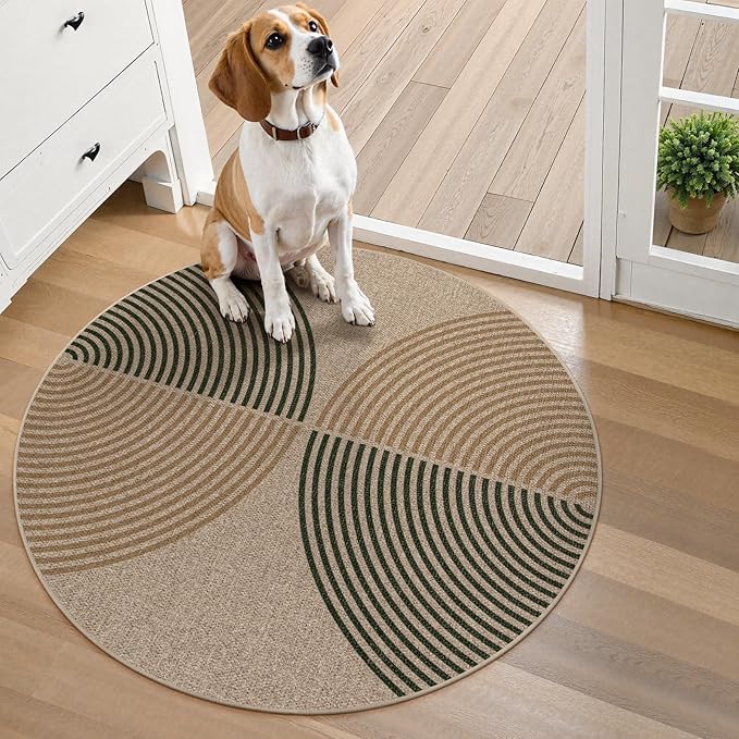 Rainbow round rug placed in modern living room decor