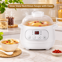 Automatic Ceramic Electric Cooking Pot for Home