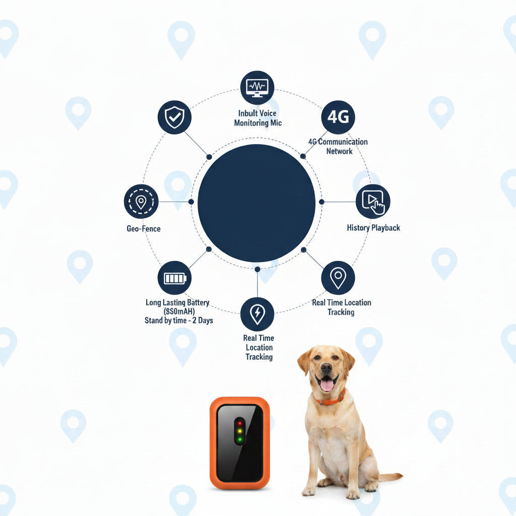 Set of adjustable pet collar accessories for dogs and cats in various sizes