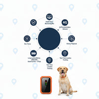 Set of adjustable pet collar accessories for dogs and cats in various sizes