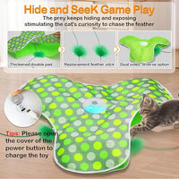 Indoor cats engaging with rechargeable interactive feather toy