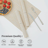 Modern Woven PVC Table Placemats