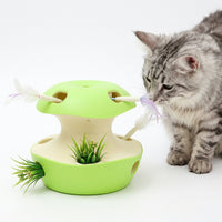 Automatic Rotating Cat Toy with Butterfly & Caterpillar – Rechargeable Interactive Cat Playmat