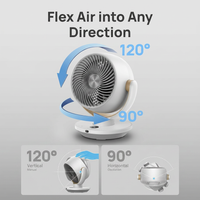Oscillating Fan