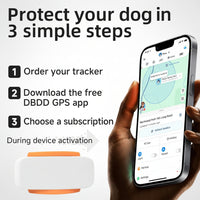 Outdoor Pet Tag Designed For Daily Walks And Activities