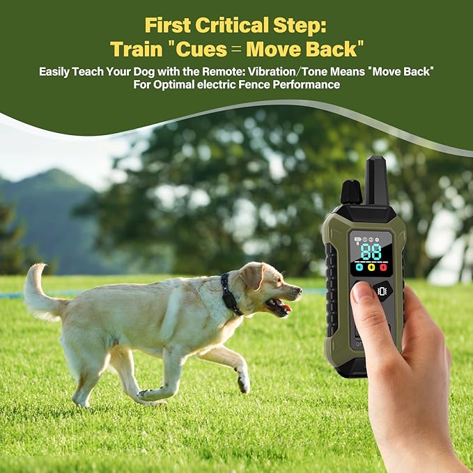 Outdoor dog collar strap suitable for daily walking use