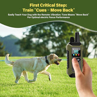 Outdoor dog collar strap suitable for daily walking use