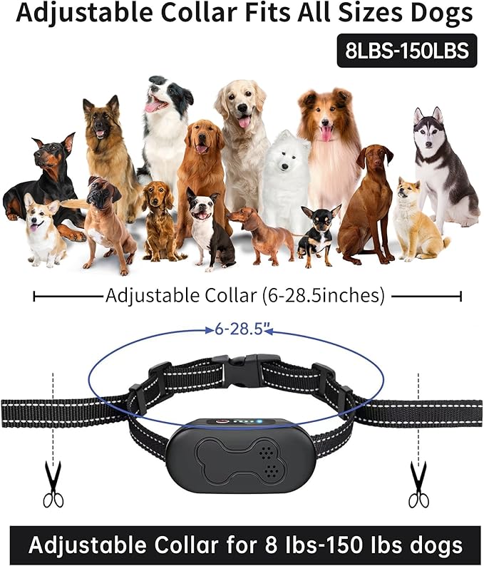 Outdoor pet collar displayed on clean white background