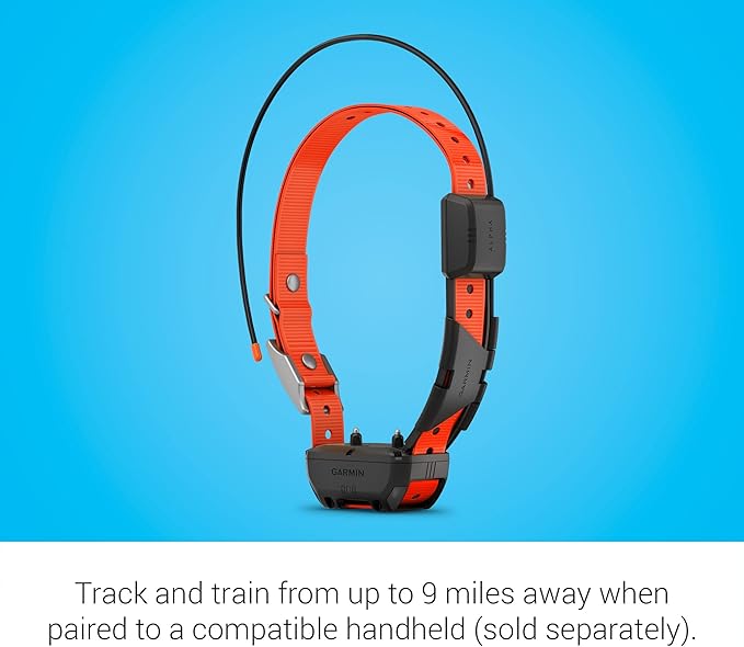 Outdoor pet neck strap suitable for medium and large dogs