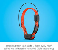 Outdoor pet neck strap suitable for medium and large dogs