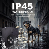 Handheld pet guidance device with lightweight body