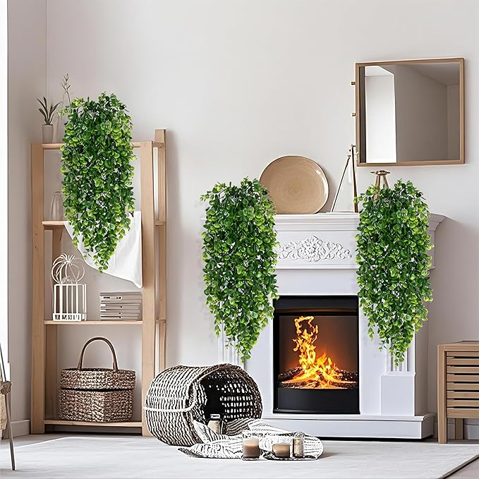 Outdoor Plants
