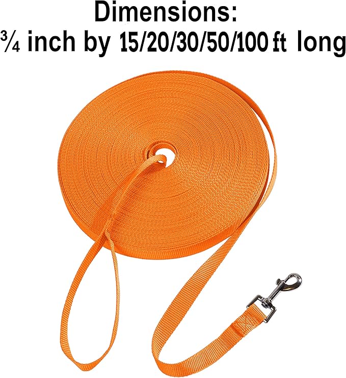 Pet leash for small, medium, and large dogs for training and play