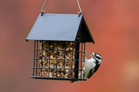 Garden Bird Feeding Station With Blue Double Suet Holder
