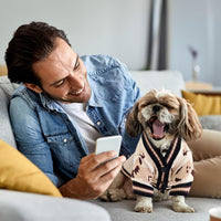Bear Pattern Knit Sweater For Dogs And Cats