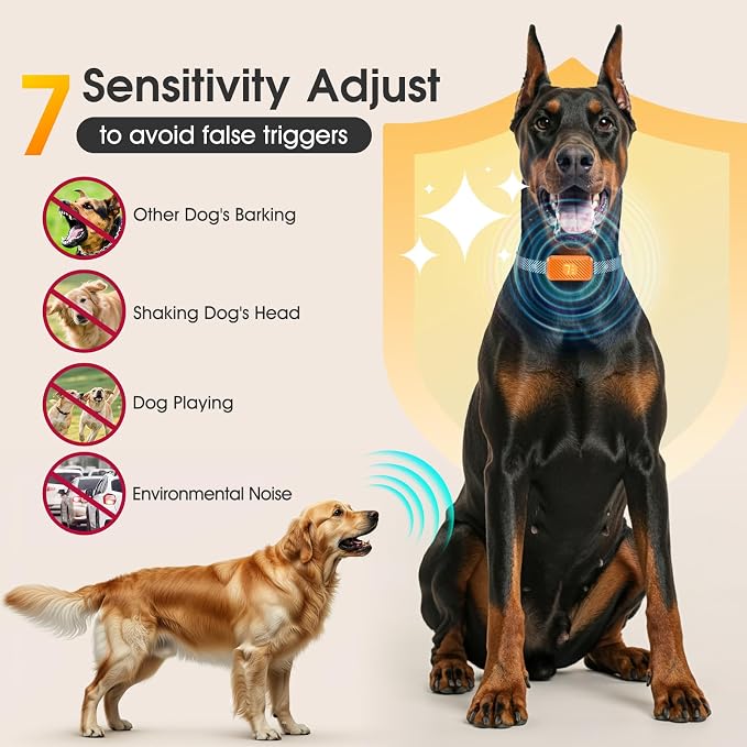 Pet Collar With Adjustable Strap For Daily Wear