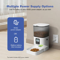 Pet Feeding Station With Automatic Food Dispensing Design