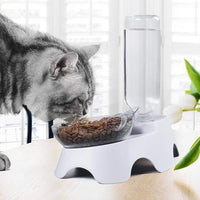 Pet Food And Water Station For Daily Indoor Feeding