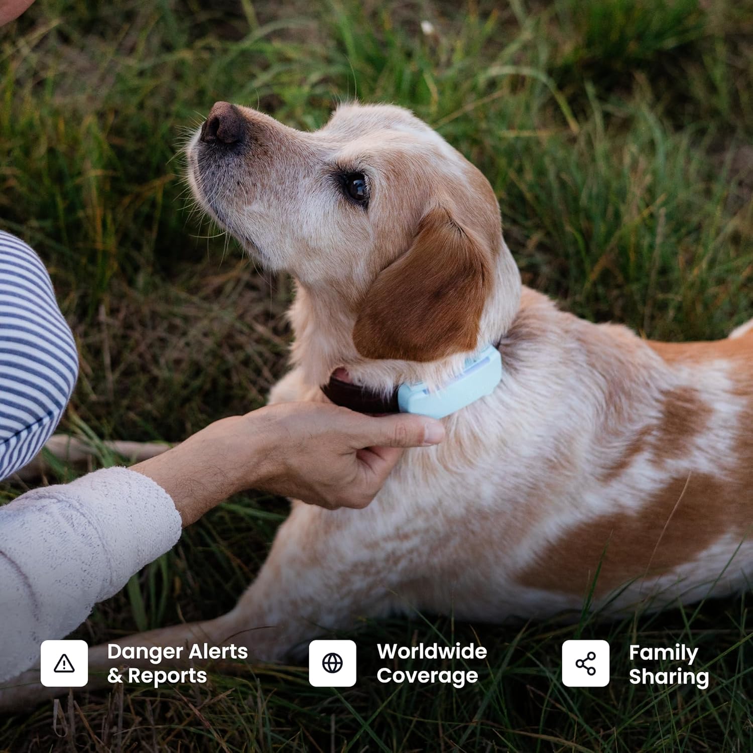 Pet Location Collar Tag For Dogs With Compact Design