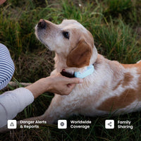 Pet Location Collar Tag For Dogs With Compact Design