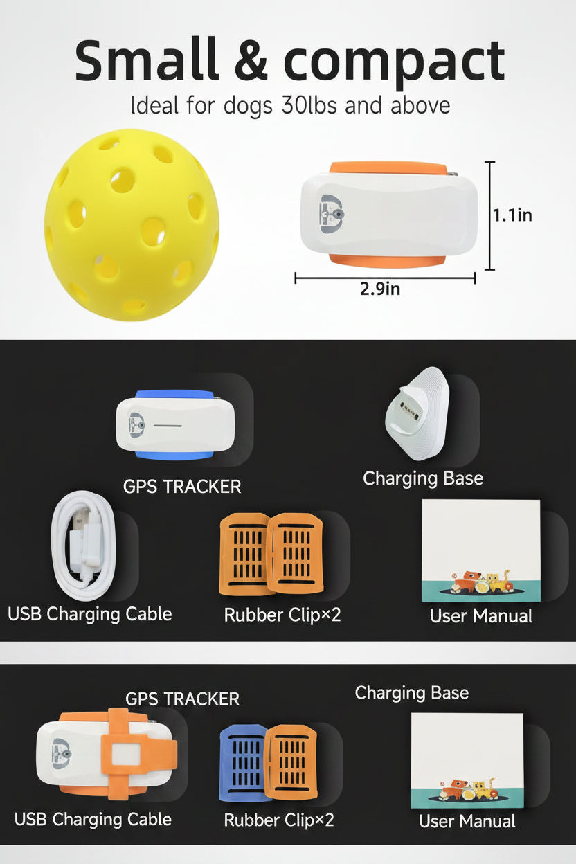 Pet Routine Tag For Dogs With App Connected View