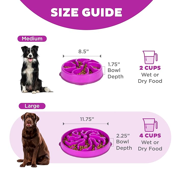 Pet Slow Feeding Bowl For Regular Dry And Wet Food Use