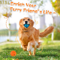 Pet Treat Ball Toy With Puzzle Design For Dogs