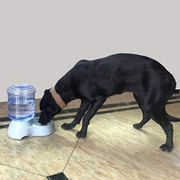 Pet Water Fountain Stand With Gravity Fed Water Bowl
