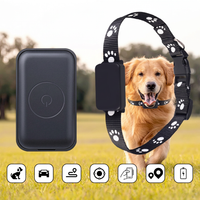 Pet collar holder with adjustable strap for daily use