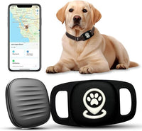 Pet collar holder with lightweight design for dogs and cats