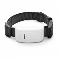 Pet collar holder with lightweight adjustable design