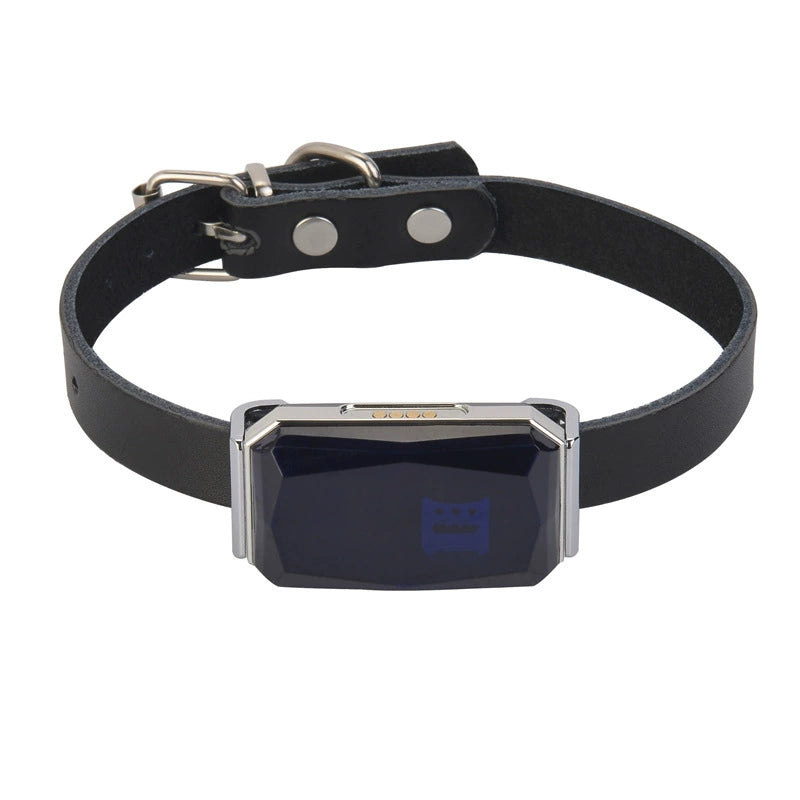 Pet collar holder with compact adjustable strap