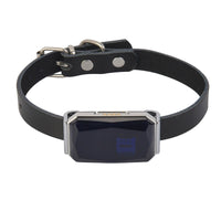Pet collar holder with compact adjustable strap